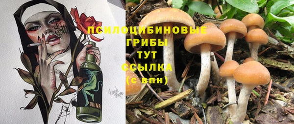 а пвп мука Кострома