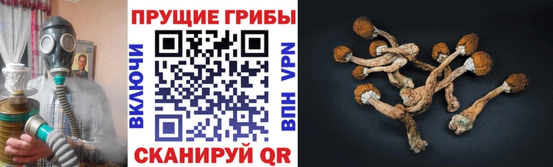 hydra сайт  Артёмовск  Галлюциногенные грибы GOLDEN TEACHER 